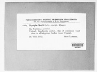 Image Associated With the Occurence